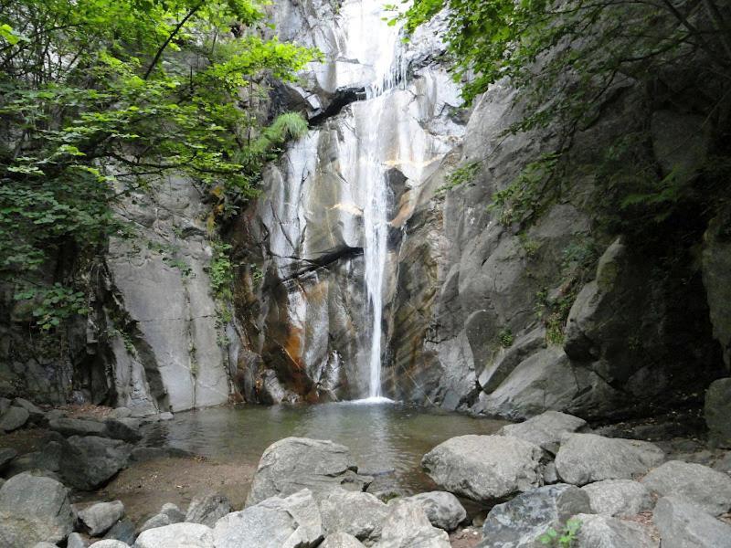 Allotjament Taga Ribes De Freser Εξωτερικό φωτογραφία